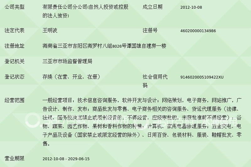 海南软件开发行业的创新力量